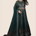 Luxury Chiffon Embroidery