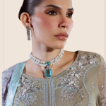 Luxury Chiffon Embroidery