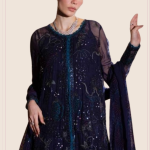 Luxury Chiffon Embroidery